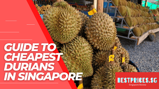 Cheapest Durian Singapore
